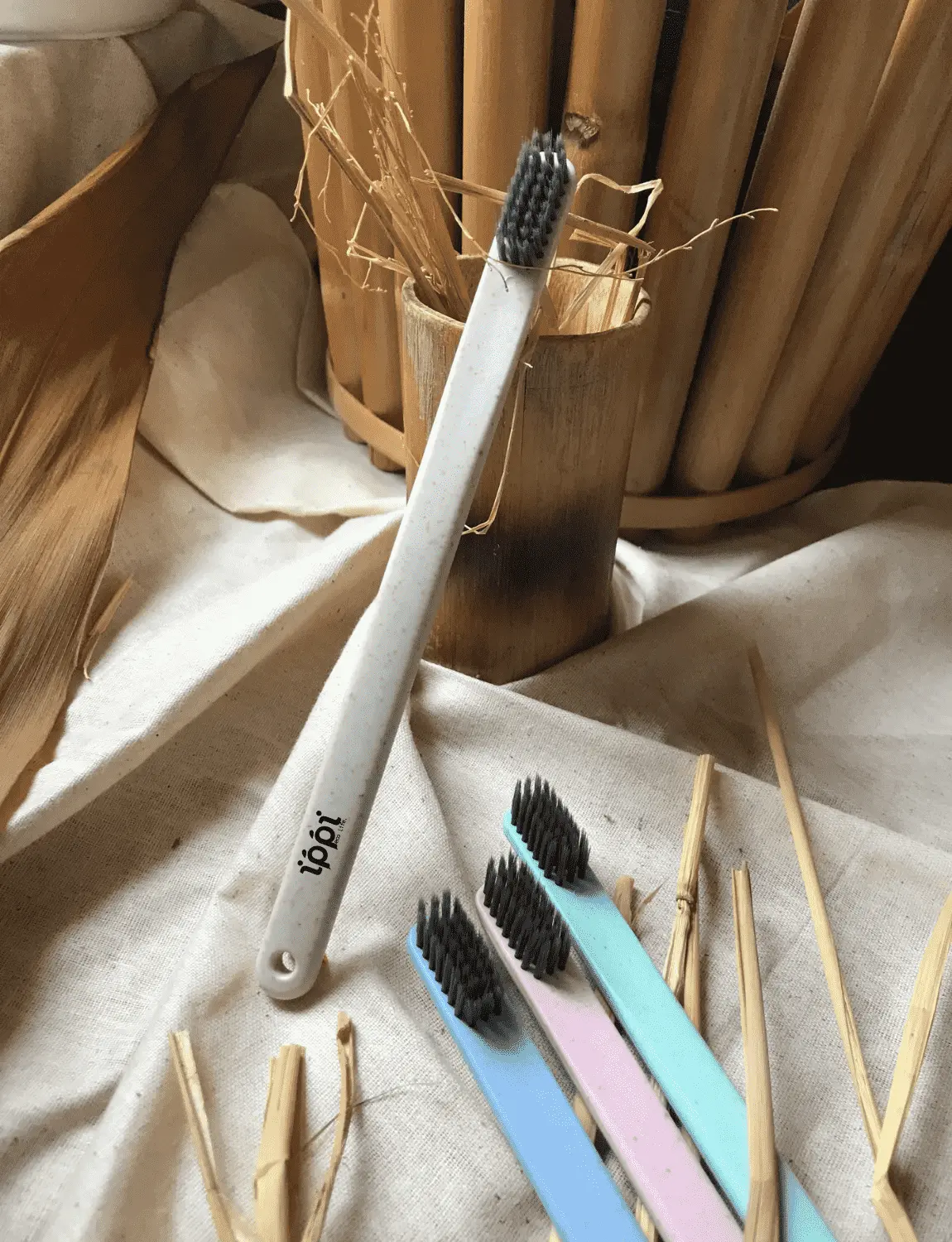 best ecofriendly products in kerala india ecofriendly toothbrush